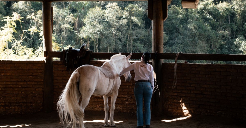 Equoterapia