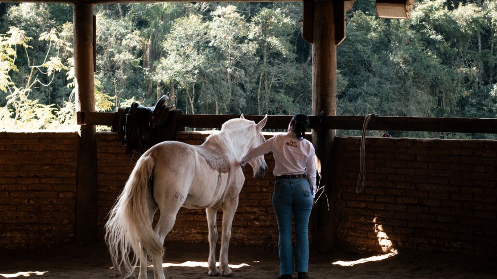 Equoterapia