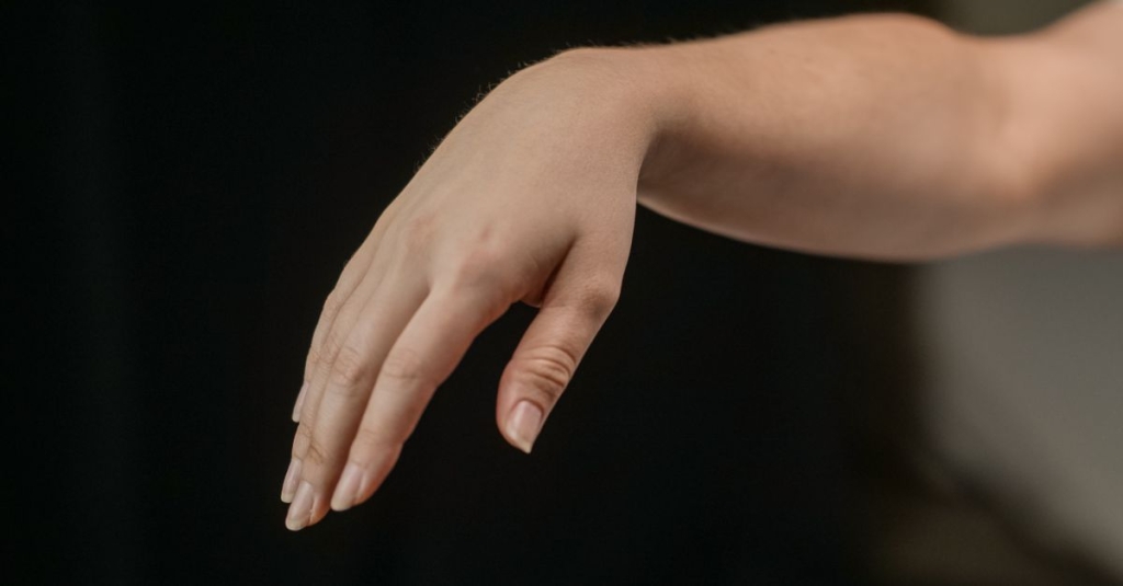 Extensor radial do carpo longo Ir para: navegação, pesquisa