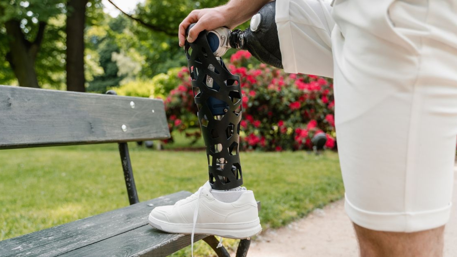 Ligamento Cruzado Anterior (LCA) – Estrutura e Propriedades Biomecânicas Ir para: navegação, pesquisa