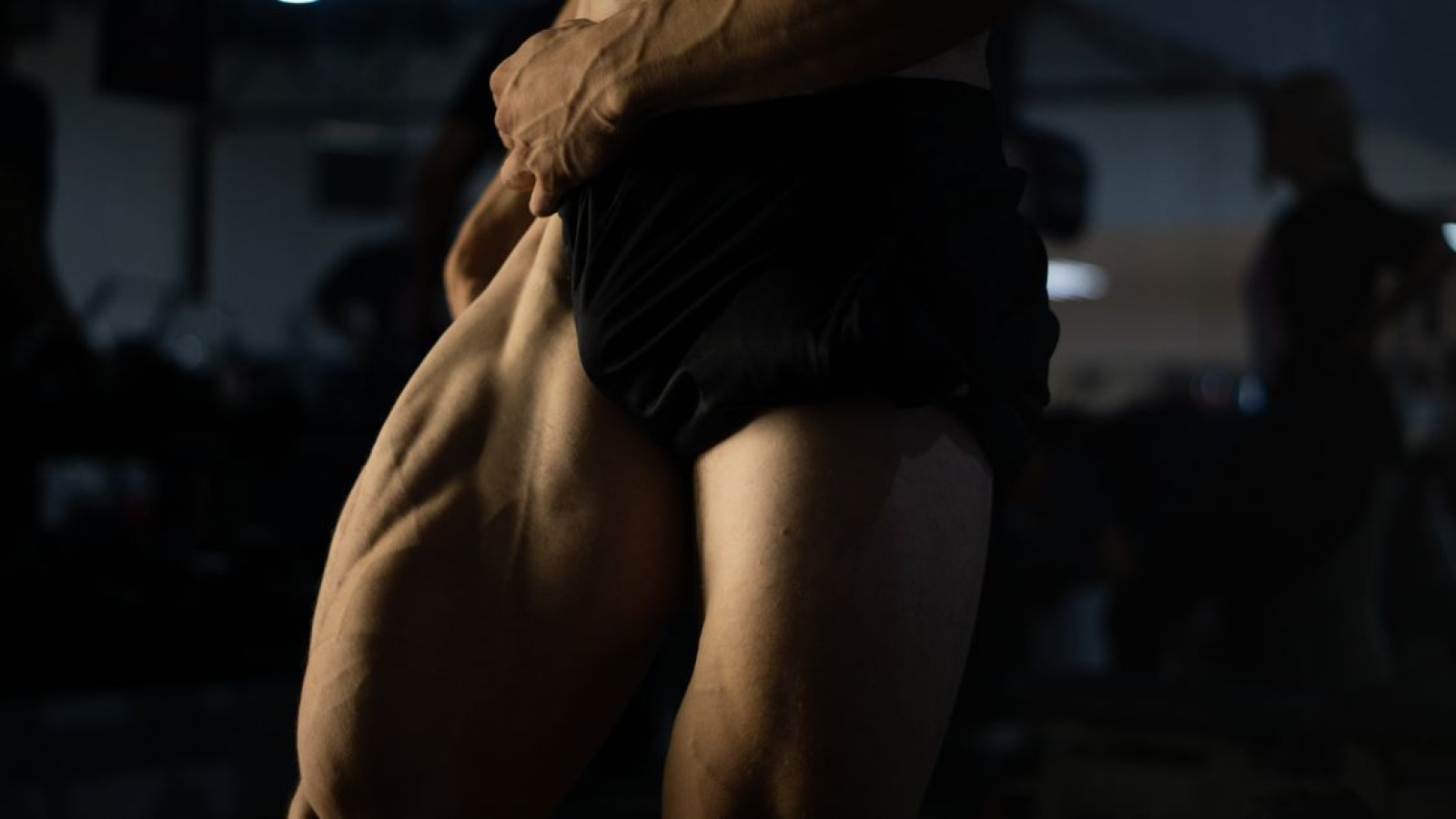 Ligamento iliolombar Ir para: navegação, pesquisa