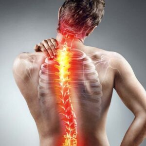 Curso Reabilitação Funcional Da Coluna Vertebral