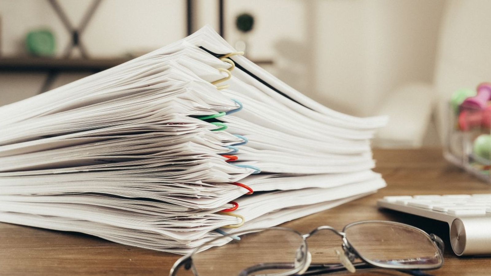 Coffito e Crefito: entenda o papel desses órgãos na fisioterapia