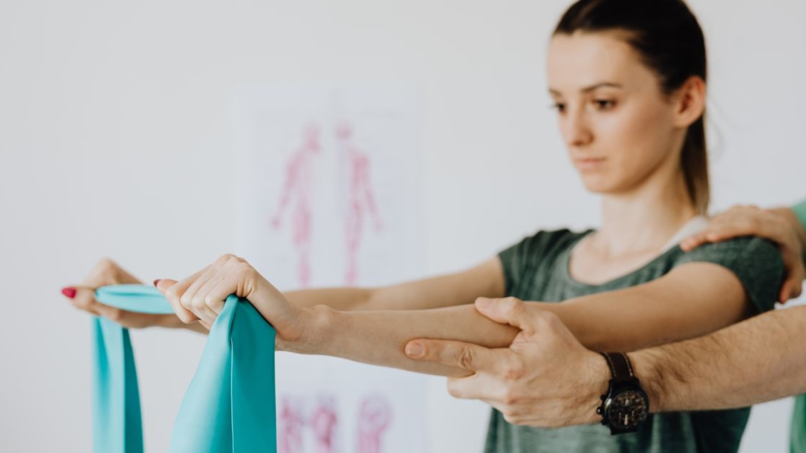 Fisiologia dos Tendões