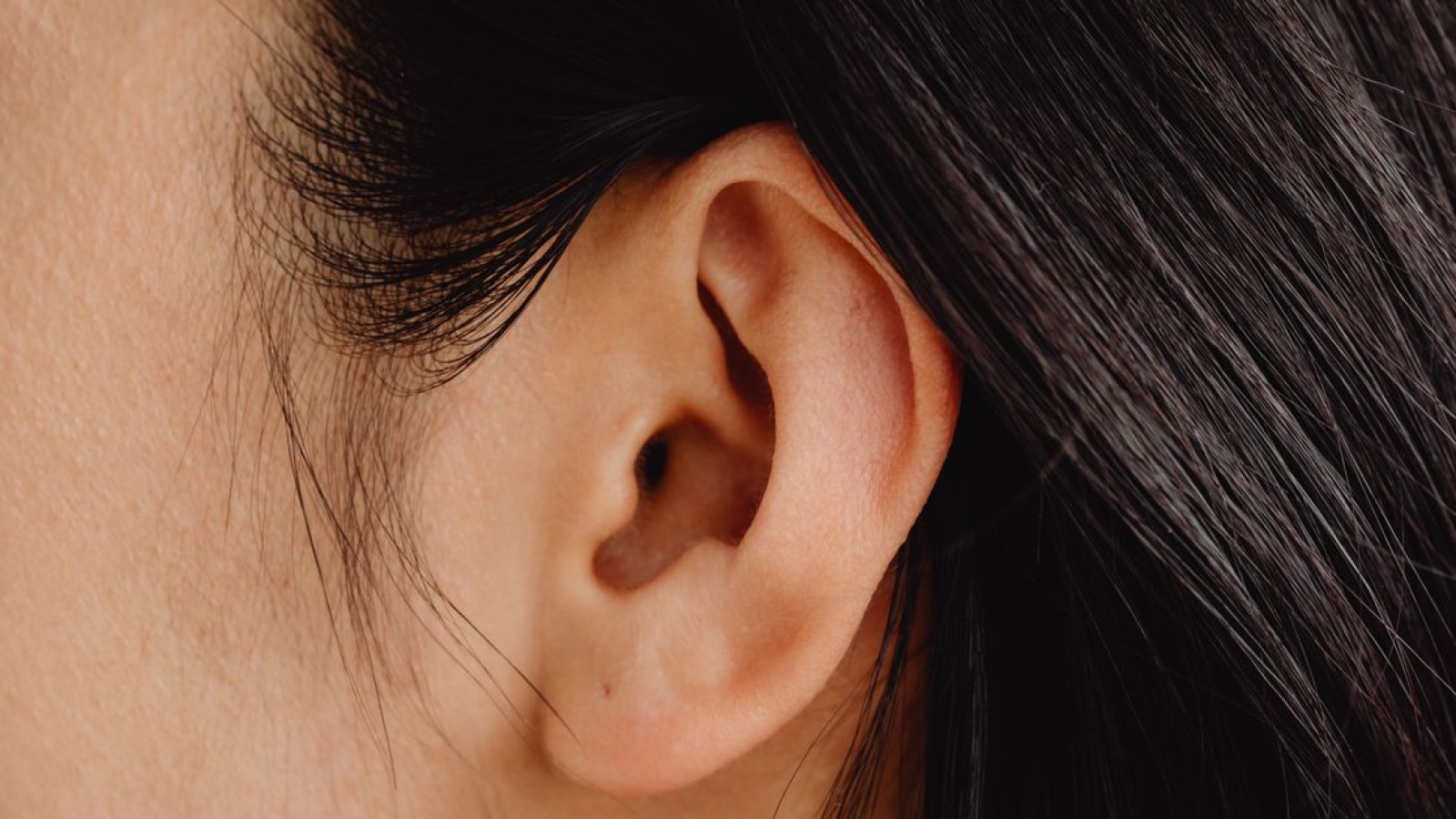 Indicações para a Auriculoterapia