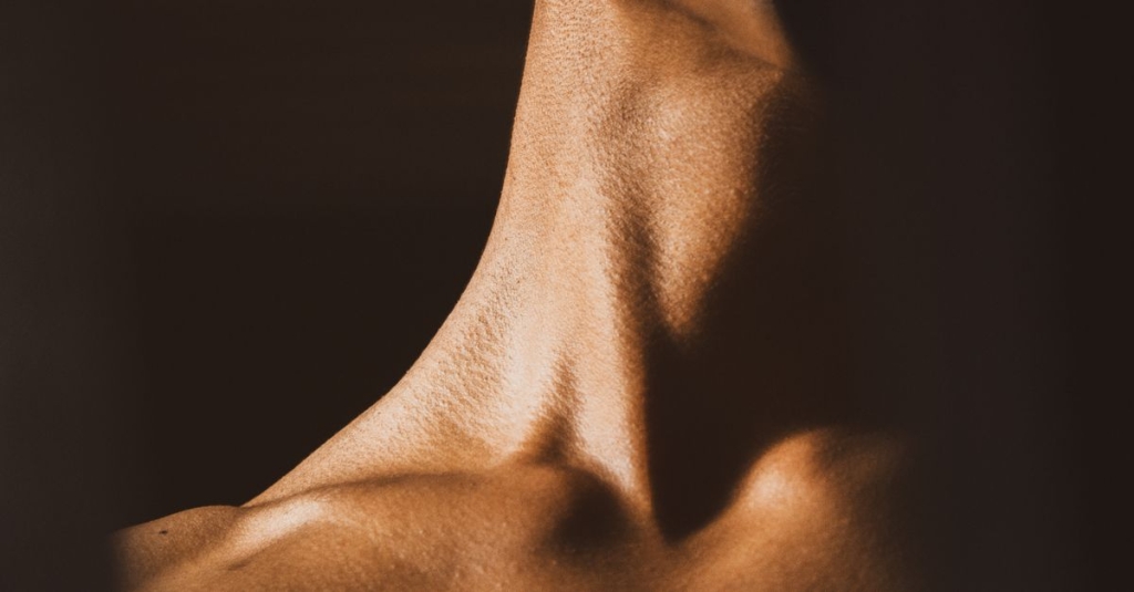 Músculo Sartório: Anatomia, Função e Relevância Clínica
