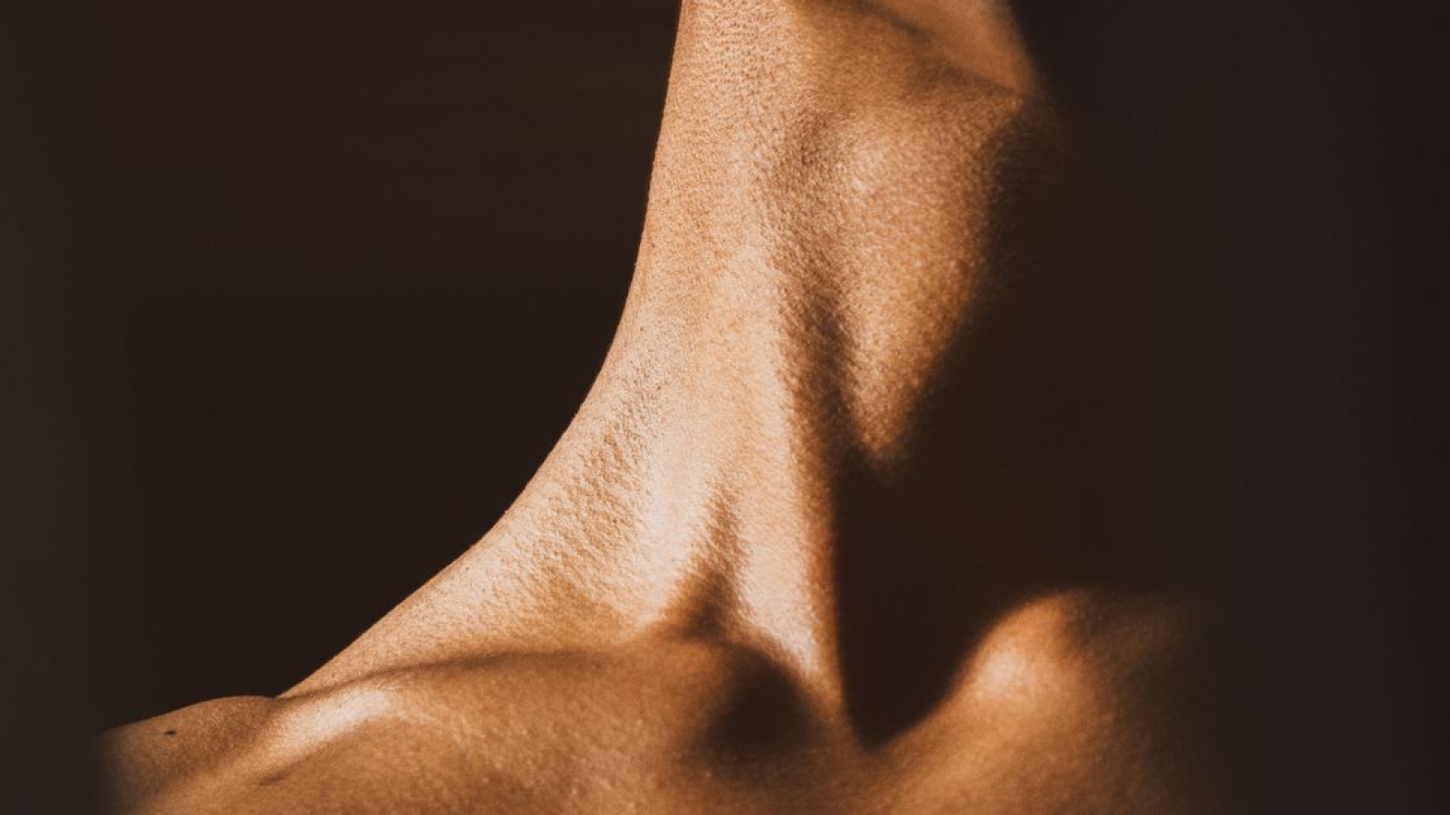 Músculo Sartório: Anatomia, Função e Relevância Clínica