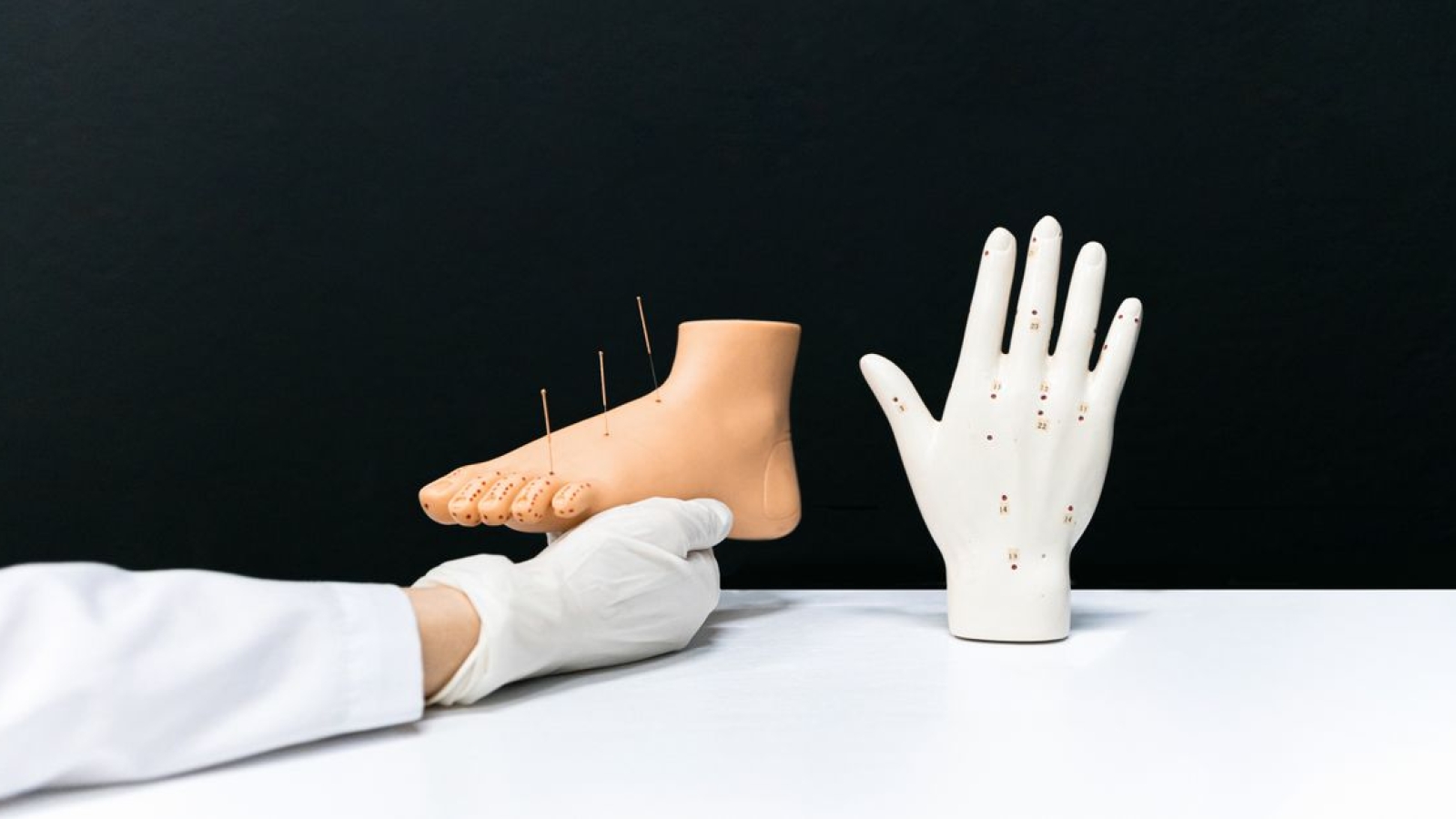 Reflexão Clínica na Fisioterapia: Conceitos e Modelos